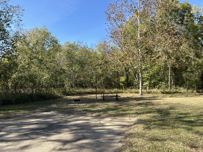 A photo of Site 908 of Loop Loop 900 at ALLEY SPRING with Picnic Table, Fire Pit, Lantern Pole