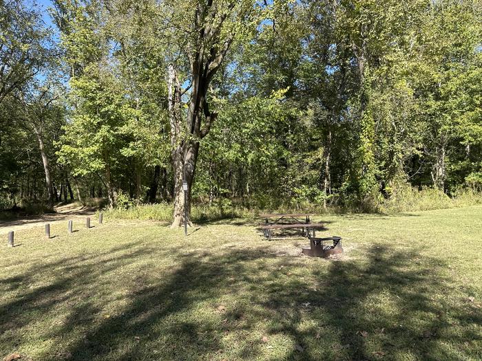 A photo of Site 717 of Loop Loop 700 at ALLEY SPRING with Picnic Table, Fire Pit, Lantern Pole