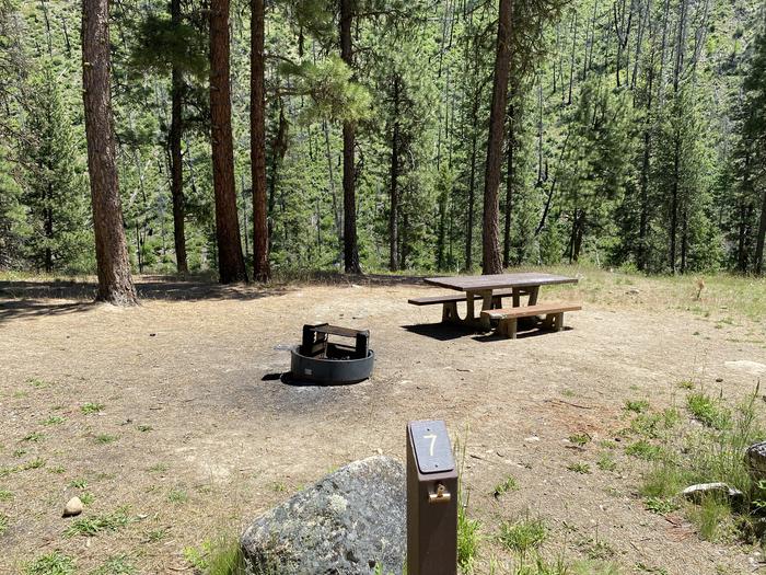 Pine Flats Site 7 showing site post, fire ring, and picnic tableWider view of Site 7 at Pine Flats Campground, Boise National Forest 