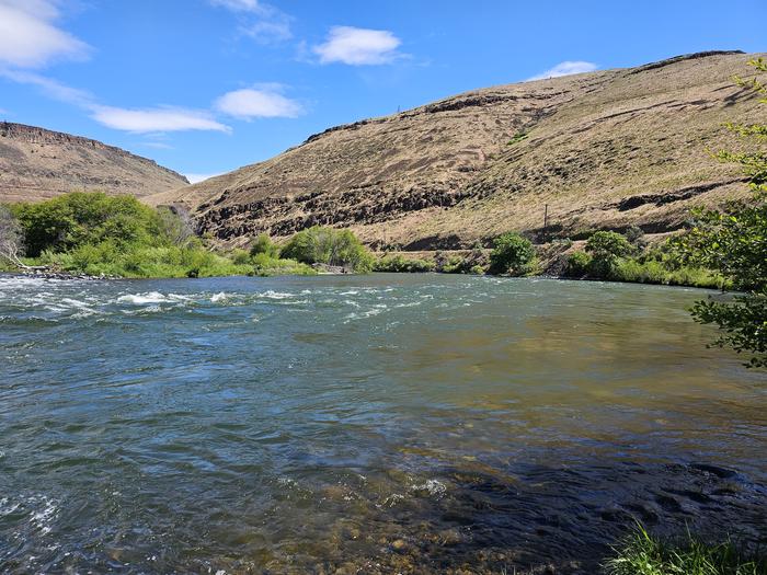 Riverside at Devil's Canyon CampgroundRiverside view of Deschutes River at Devil's Canyon Campground with road and hillside in background.