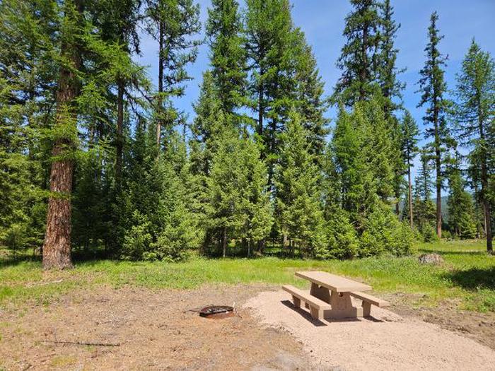 A photo of Site SLS29 of Loop 3 at Seeley Lake Lolo Campground (MT) with Picnic Table, Fire Pit, Waterfront