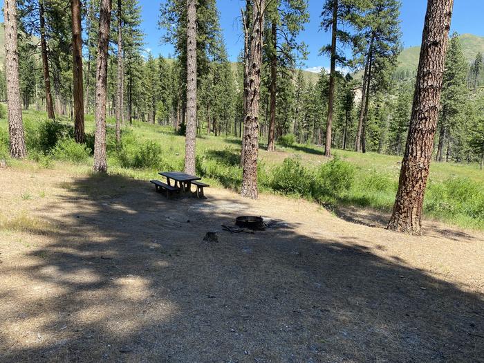 Site 18b, Shown are trees, the bench, and fire ring Picnic table and fire ring