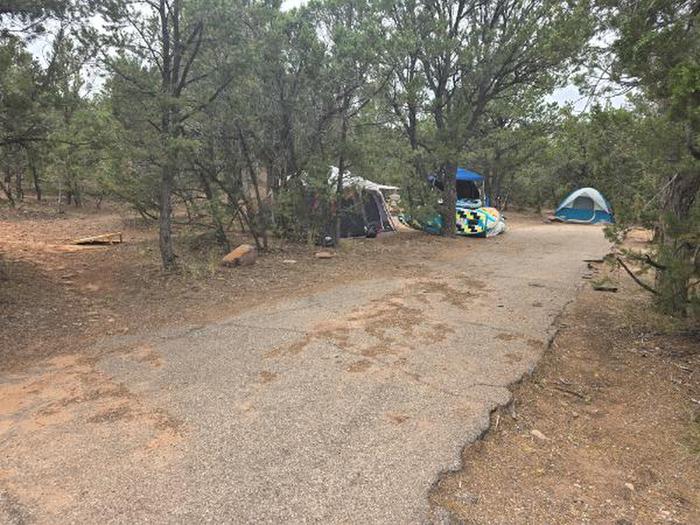 A photo of Site 66 of Loop UPSG at MUSTANG RIDGE CAMPGROUND