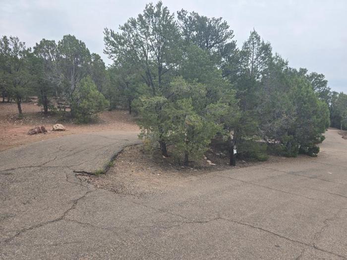 A photo of Site 52 of Loop UPSG at MUSTANG RIDGE CAMPGROUND