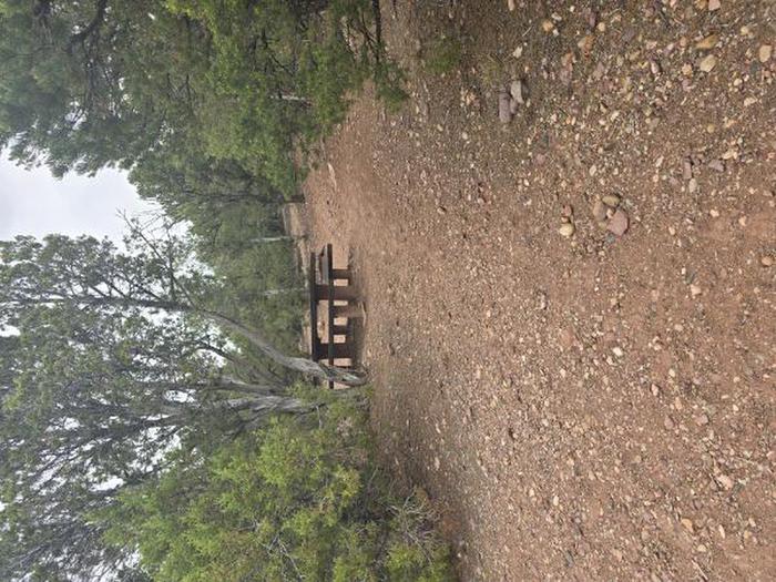 A photo of Site 52 of Loop UPSG at MUSTANG RIDGE CAMPGROUND