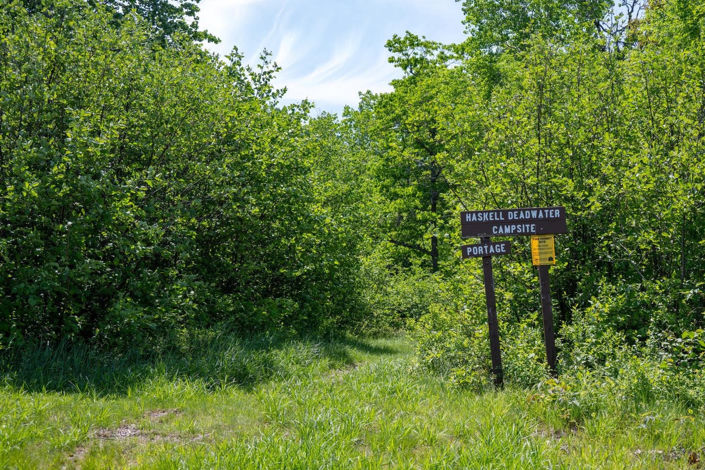 A grassy portage trail with tall shrubs and trees with a brown wooden sign. The sign points out Haskell Deadwater Campsite from Haskell Deadwater for paddlers. A wooden sign points out Haskell Campsite and portage trail for paddlers.