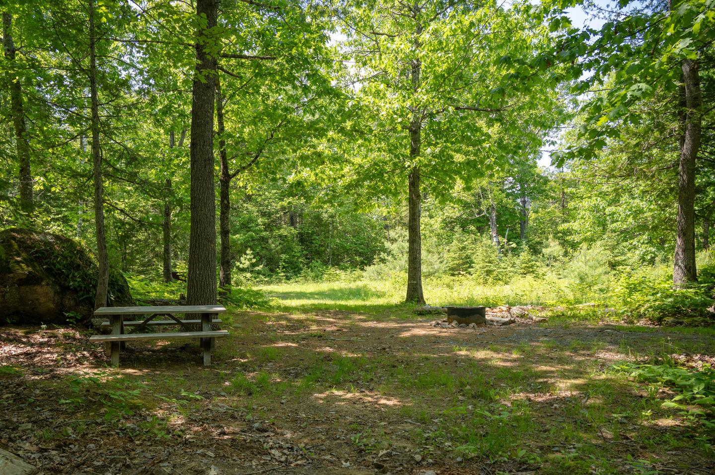 A large picnic area under the shade that has one picnic table and one campfire ring. A large boulder sits next to the picnic table.Haskell Deadwater has a large shaded campsite area with a picnic table and campfire ring.