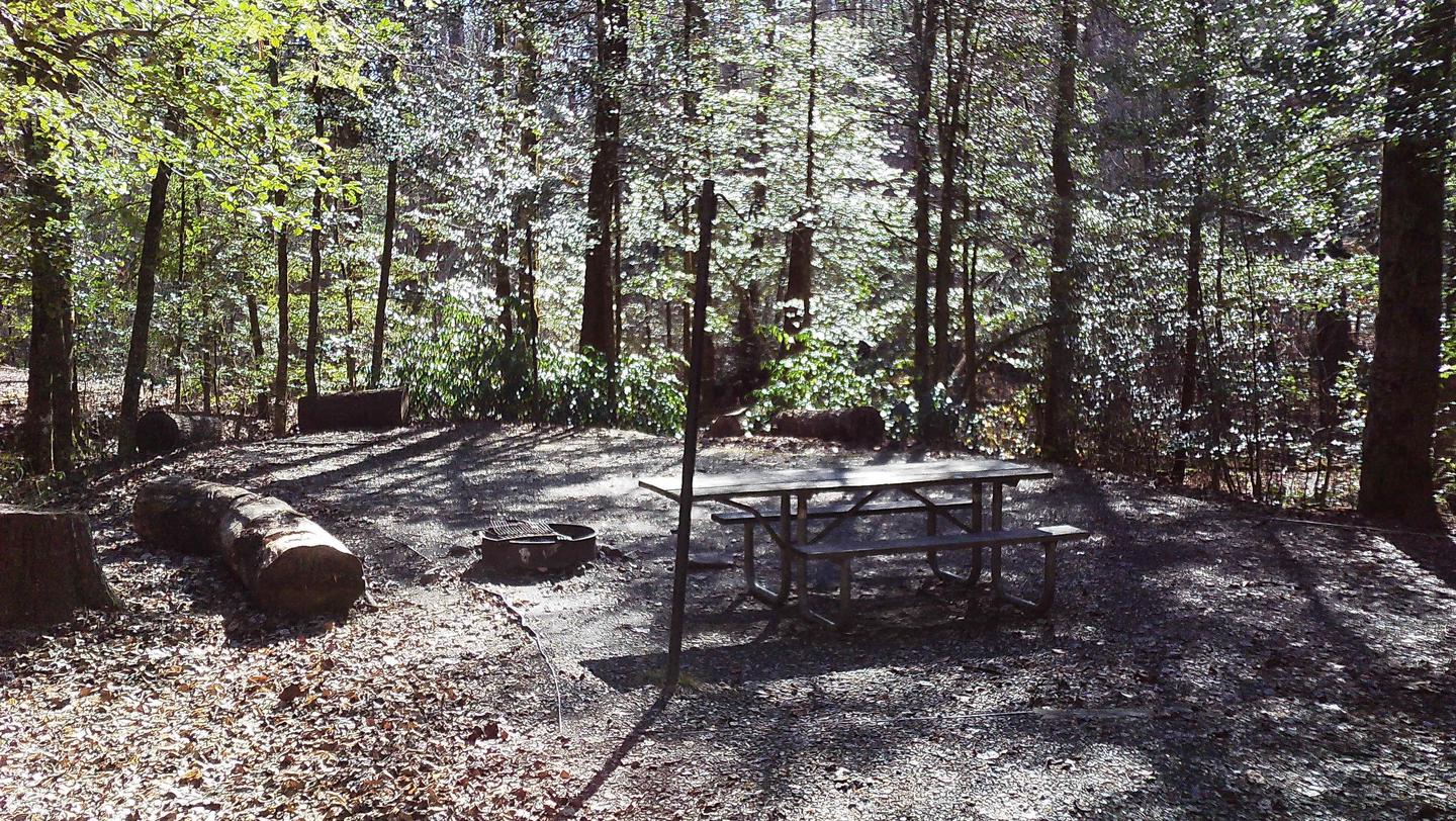 Upper Chattahoochee River Campground