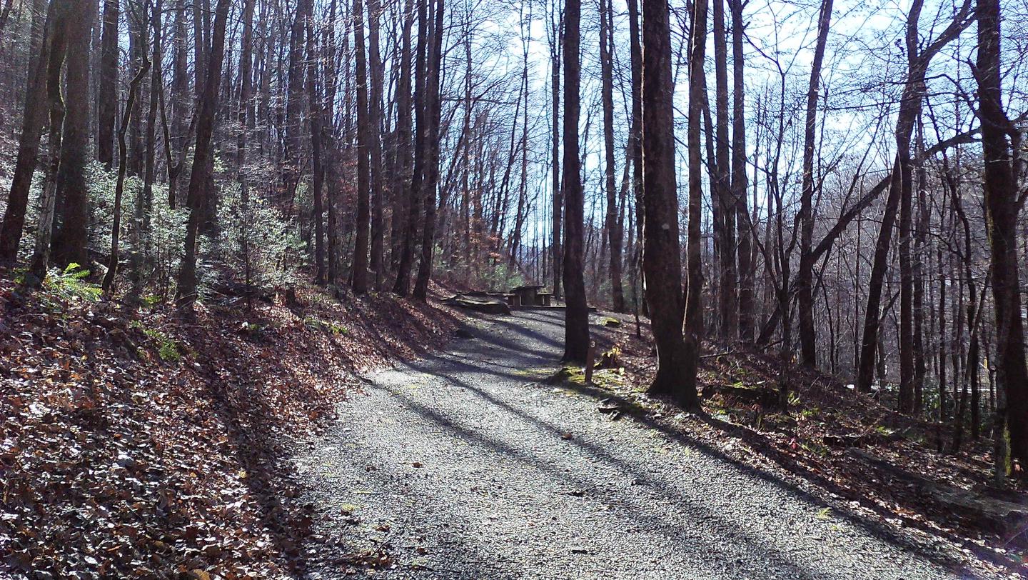 Andrew's Cove Campground