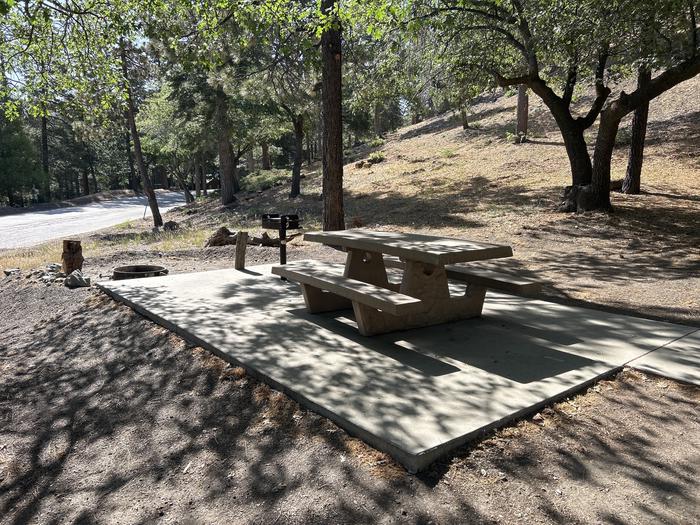 A photo of Site 1 of Loop Peavine at Peavine Campground with Picnic Table, Fire Pit, Shade