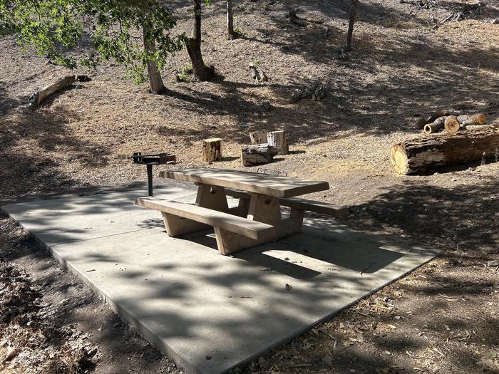 A photo of Site 3 of Loop Peavine at Peavine Campground with Picnic Table, Fire Pit, Shade