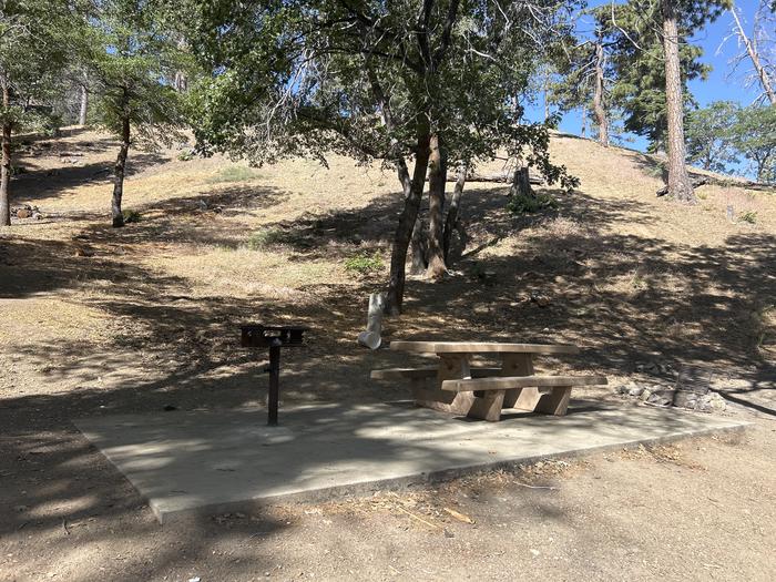 A photo of Site 4 of Loop Peavine at Peavine Campground with Picnic Table, Fire Pit, Shade, Tent Pad