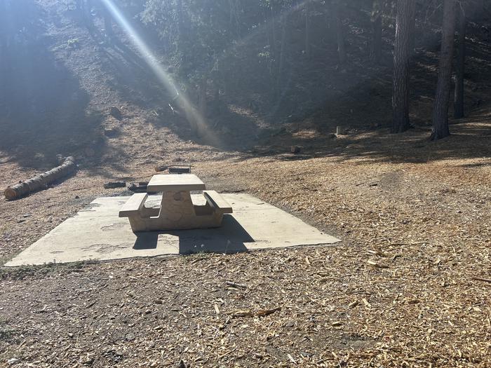 A photo of Site 2 of Loop Appletree at Appletree Campground with Picnic Table, Fire Pit