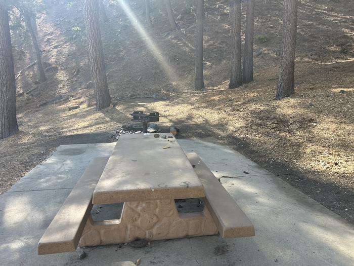 A photo of Site 3 of Loop Appletree at Appletree Campground with Picnic Table, Fire Pit, Shade, Tent Pad