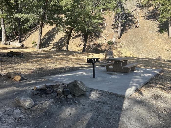 A photo of Site 5 of Loop Appletree at Appletree Campground with Picnic Table, Fire Pit, Shade, Tent Pad