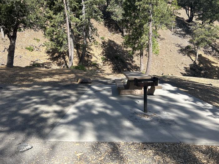 A photo of Site 6 of Loop Appletree at Appletree Campground with Picnic Table, Fire Pit, Shade, Tent Pad