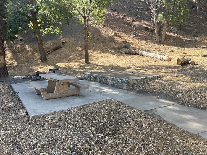 A photo of Site 1 of Loop Appletree at Appletree Campground with Picnic Table, Fire Pit, Shade, Tent Pad