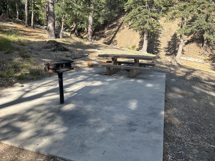 A photo of Site 4 of Loop Appletree at Appletree Campground with Picnic Table, Fire Pit, Shade, Tent Pad