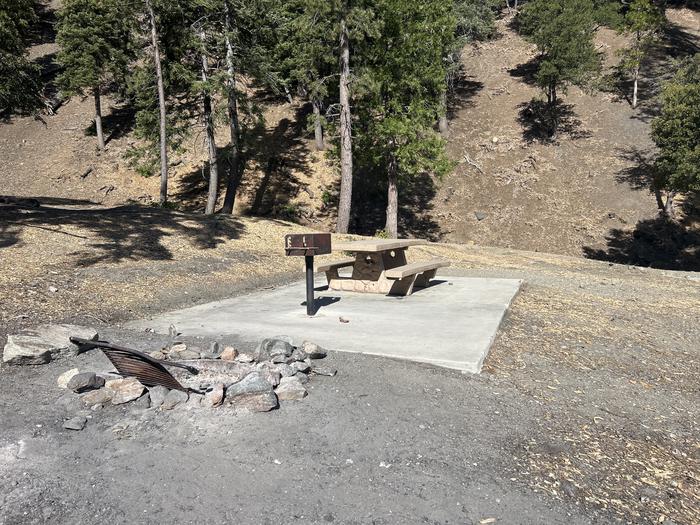 A photo of Site 7 of Loop Appletree at Appletree Campground with Picnic Table, Fire Pit, Tent Pad