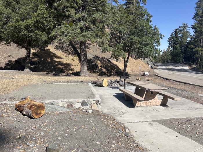 A photo of Site 8 of Loop Appletree at Appletree Campground with Picnic Table, Fire Pit, Tent Pad