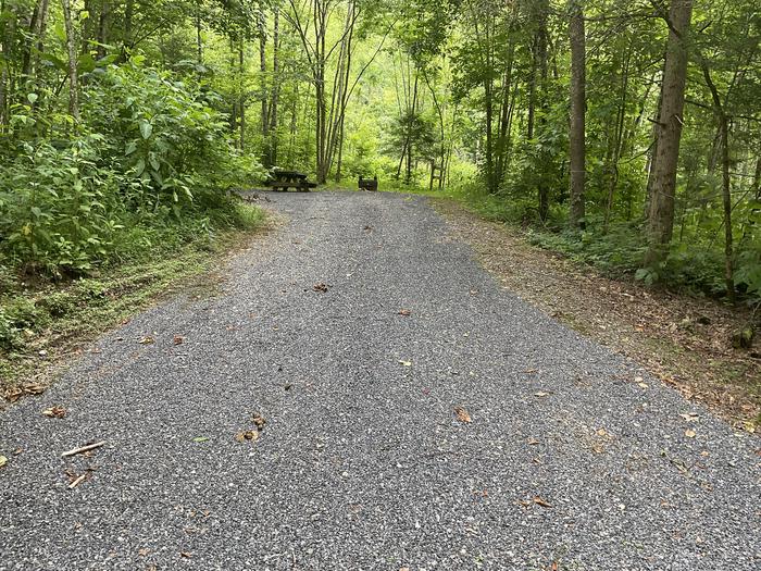 A photo of Site HD03 of Loop Upper at Harmon Den Campground with Picnic Table, Fire Pit, Shade, Tent Pad, Lantern Pole