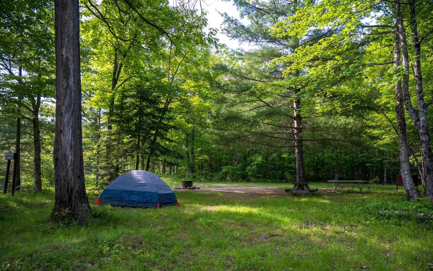 A view of Upper East Branch Campsite. The campsite is a wide and leveled with a grassy and gravel surface. A tent is set up to the left with a fire ring in front of it. Sunshine peaks down through the tall trees.Upper East Branch is a peaceful campsite in the north section of the monument.