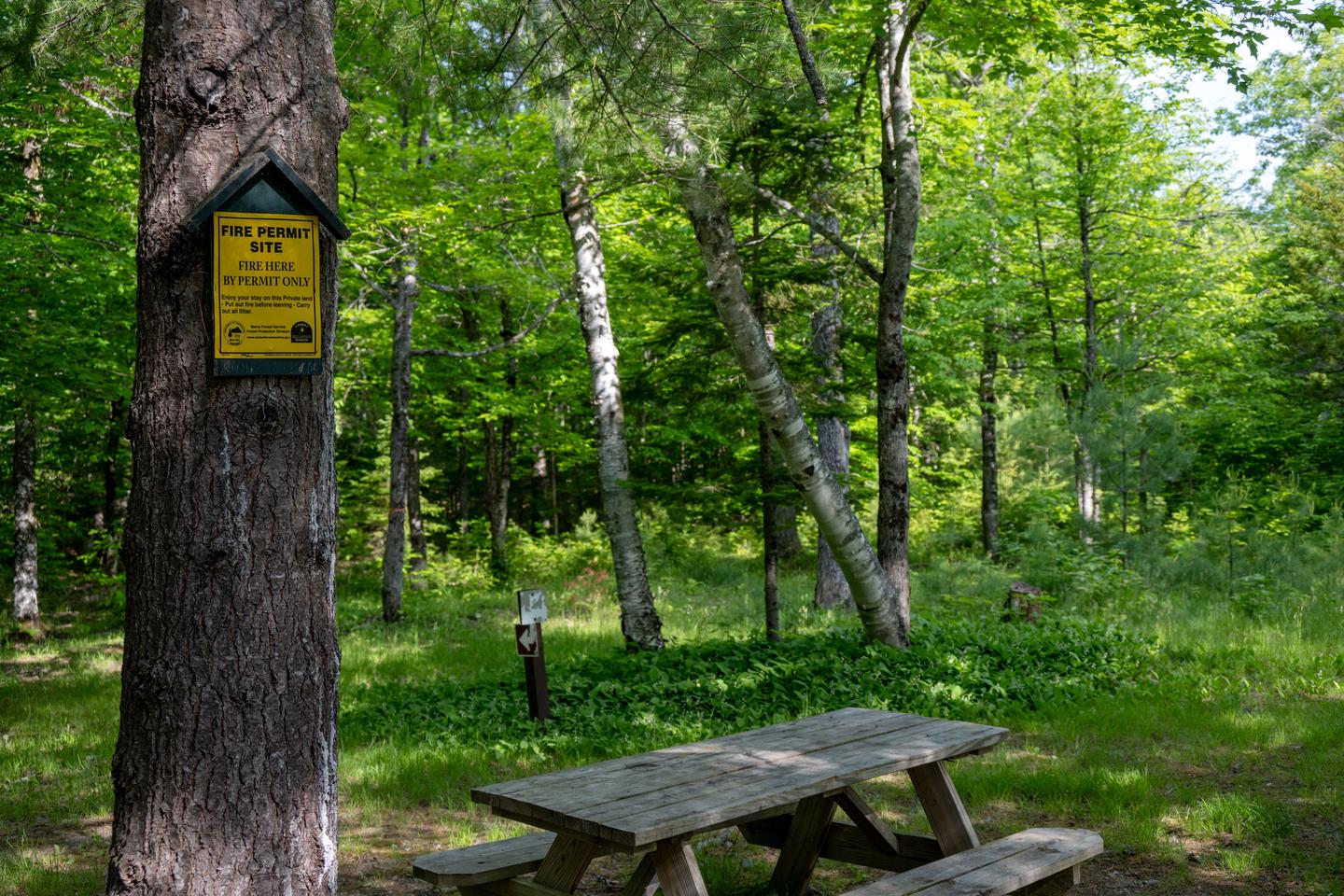 A yellow fire permit site sign attached to a tree next to a picnic table. The sign reminds campers that a fire permit is required at the campsite.A fire permit is required at this site.