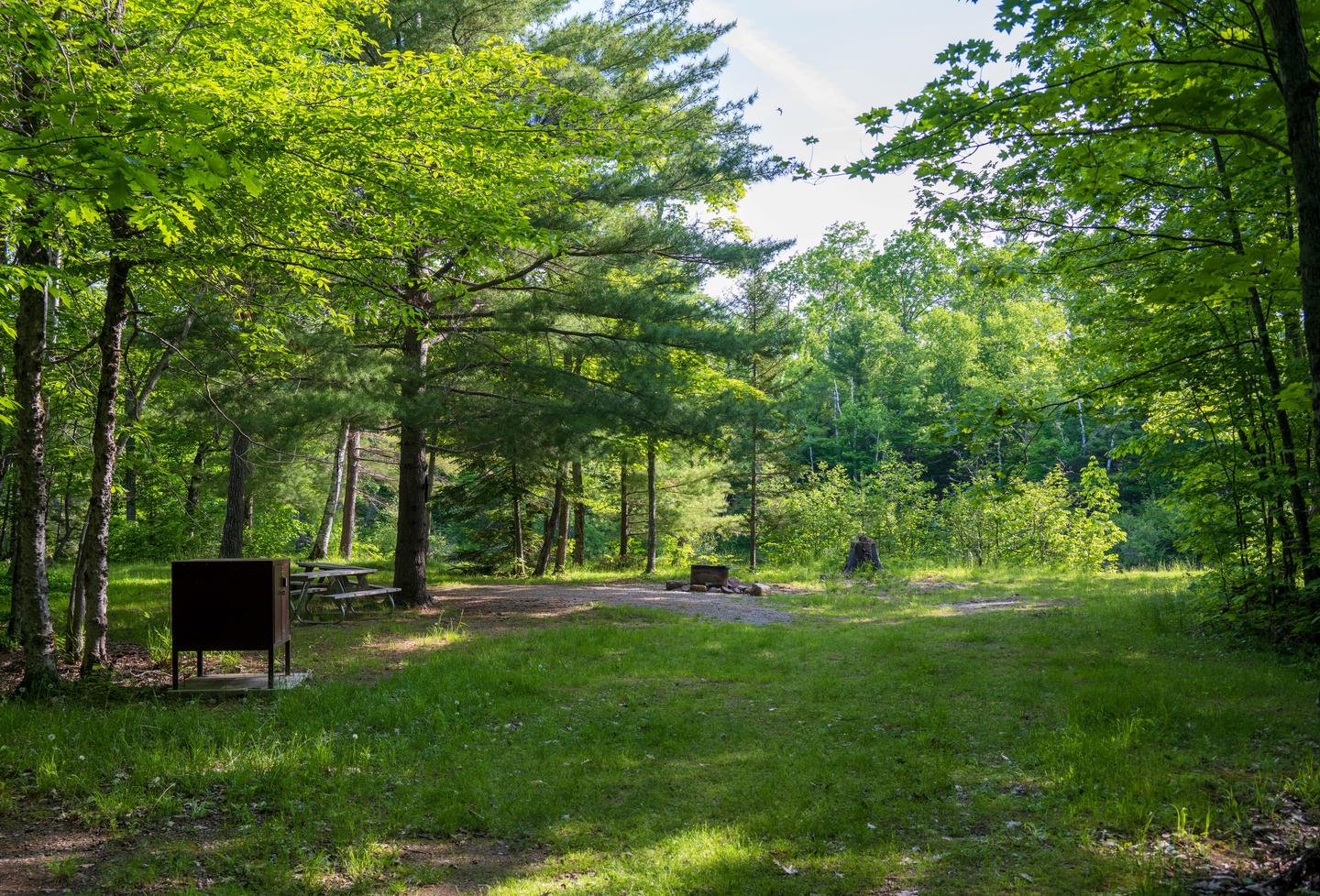 A brown metal food storage locker is near the entrance to the campsite. Two wooden picnic tables are available behind the food locker. A metal fire ring is to the right of the campsite, closer to the river.Upper East Branch is a large campsite. A metal food storage locker is available near the single vehicle parking space.
