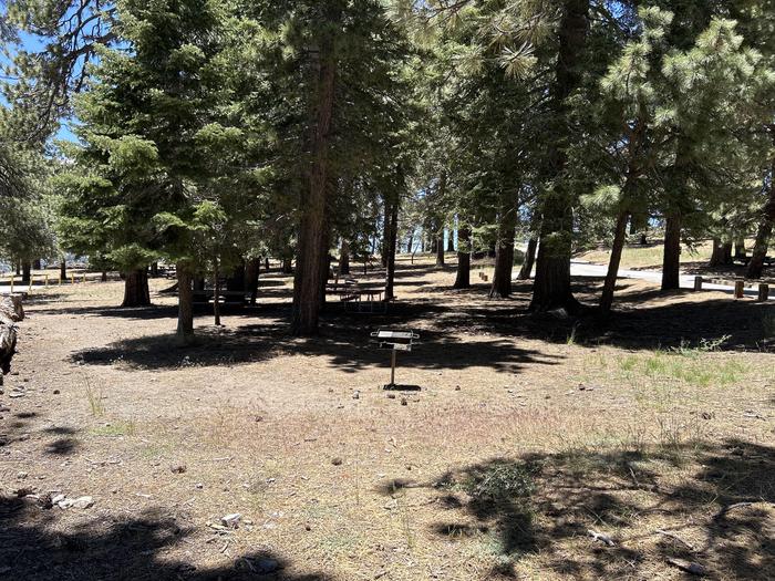 A photo of facility Grassy Hollow with Picnic Table, Shade