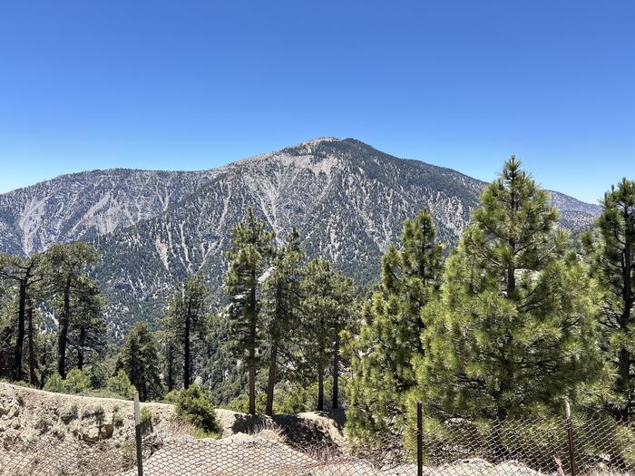 Mount Baden-Powell from Grassy Hollow