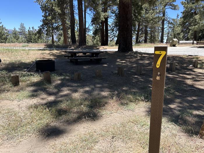 A photo of Site 7 of Loop Grassy Hollow at Grassy Hollow with Picnic Table, Fire Pit, Shade