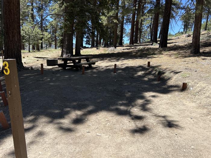 A photo of Site 3 of Loop Grassy Hollow at Grassy Hollow with Picnic Table, Fire Pit, Shade