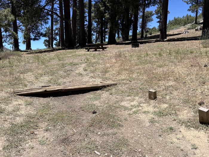 A photo of Site 2 of Loop Grassy Hollow at Grassy Hollow with Picnic Table, Fire Pit, Shade