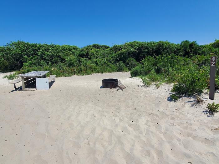 Oceanside site 42 in July 2023.  A picnic table and fire ring with a grill are located on top of the sand.  Lush greenery surrounds the campsite.  A signpost to the right has "42" on it.Oceanside Site 42 - July 2023.