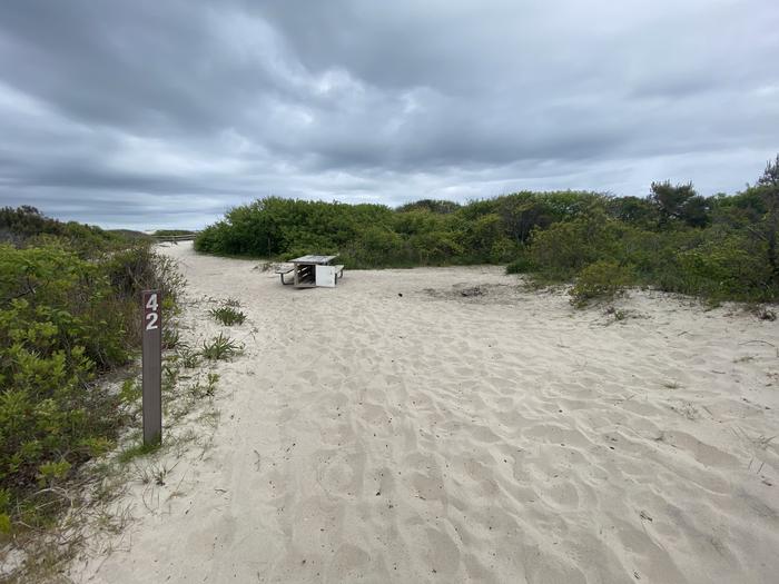 Oceanside site 42 in May 2024. A sandy pathway leads through an empty campsite with greenery located on both sides.  A signpost near the entrance has "42" on it.  A picnic table sits further back at the campsite on the sand.Oceanside Site 42 - May 2024.