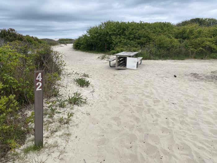 Oceanside Site 42 in May 2024.  A picnic table sits on the sand in the middle of a sandy pathway.  Greenery surrounds the pathway and there is a sign that has "42" on it at the front.Oceanside Site 42 - May 2024.