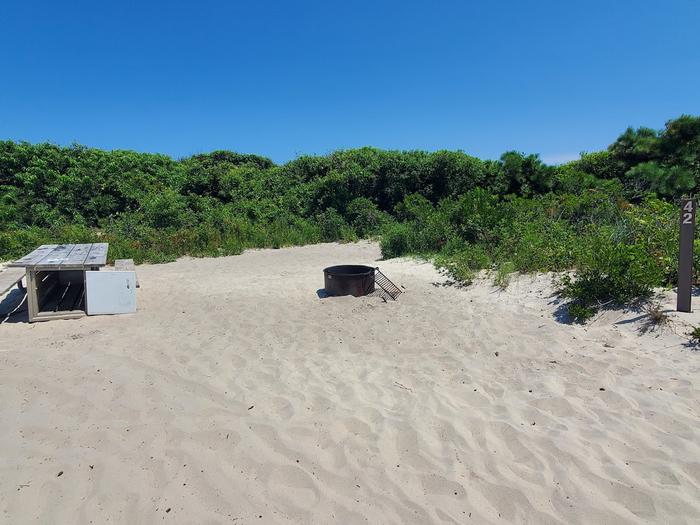 Oceanside site 42 in July 2023.  A picnic table and fire ring with a grill are located on top of a sandy area.  A signpost nearby has "42" on it.  Lush greenery is in the background behind the campsite.Oceanside Site 42 - July 2023.