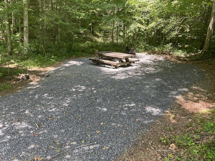 A photo of Site T19 of Loop Lower at Harmon Den Campground with Picnic Table, Fire Pit, Shade, Tent Pad, Lantern Pole