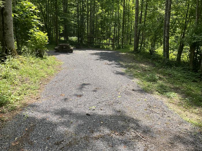 A photo of Site T22 of Loop Lower at Harmon Den Campground with Picnic Table, Fire Pit, Shade, Tent Pad, Lantern Pole