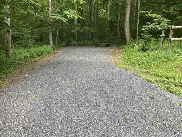 A photo of Site T16 of Loop Lower at Harmon Den Campground with Picnic Table, Fire Pit, Shade, Tent Pad, Lantern Pole