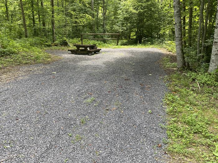 A photo of Site T23 of Loop Lower at Harmon Den Campground with Picnic Table, Fire Pit, Shade, Tent Pad, Lantern Pole