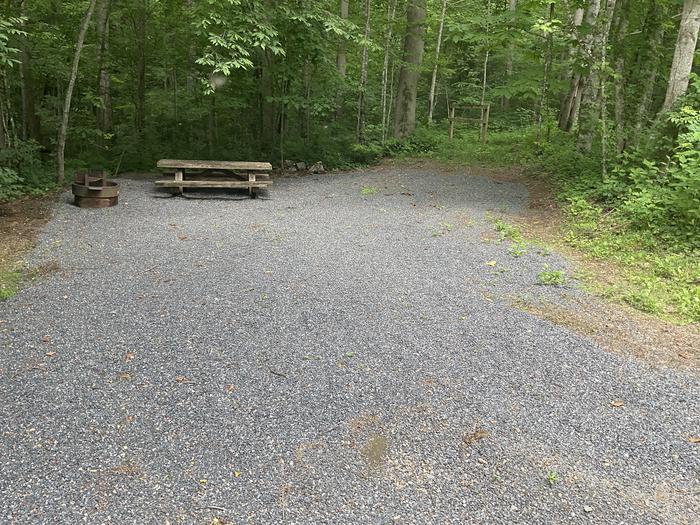 A photo of Site T17 of Loop Lower at Harmon Den Campground with Picnic Table, Fire Pit, Shade, Tent Pad, Lantern Pole