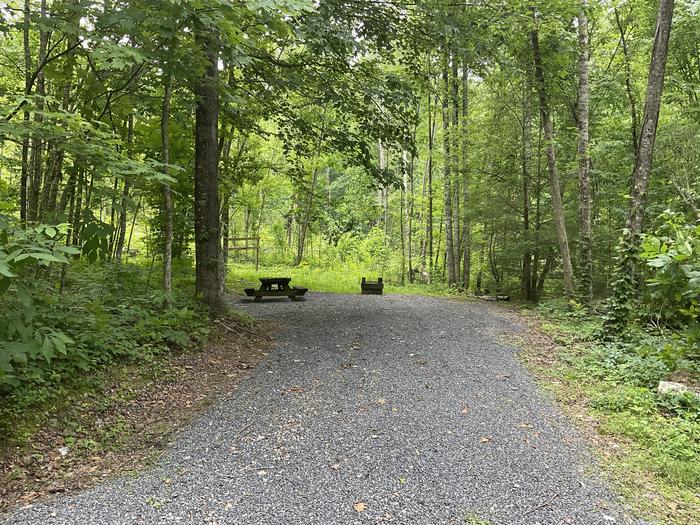 A photo of Site HD02 of Loop Upper at Harmon Den Campground with Picnic Table, Fire Pit, Shade, Tent Pad, Lantern Pole