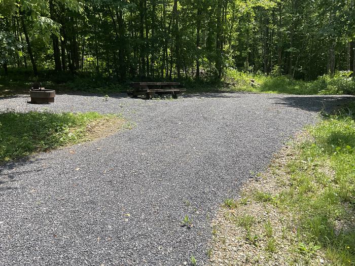 A photo of Site T20 of Loop Lower at Harmon Den Campground with Picnic Table, Fire Pit, Shade, Tent Pad, Lantern Pole