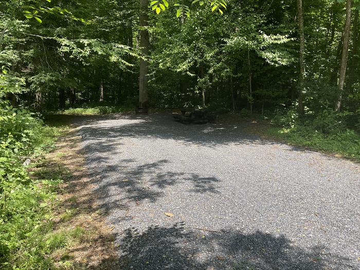 A photo of Site T18 of Loop Lower at Harmon Den Campground with Picnic Table, Fire Pit, Shade, Tent Pad, Lantern Pole