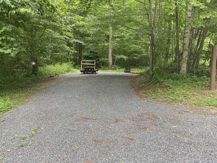 A photo of Site T15 of Loop Lower at Harmon Den Campground with Picnic Table, Fire Pit, Shade, Lantern Pole