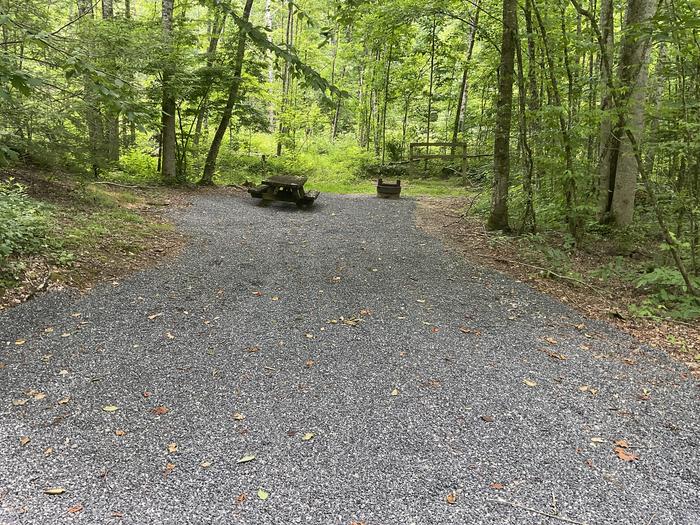 A photo of Site HD01 of Loop Upper at Harmon Den Campground with Picnic Table, Fire Pit, Shade, Tent Pad, Lantern Pole