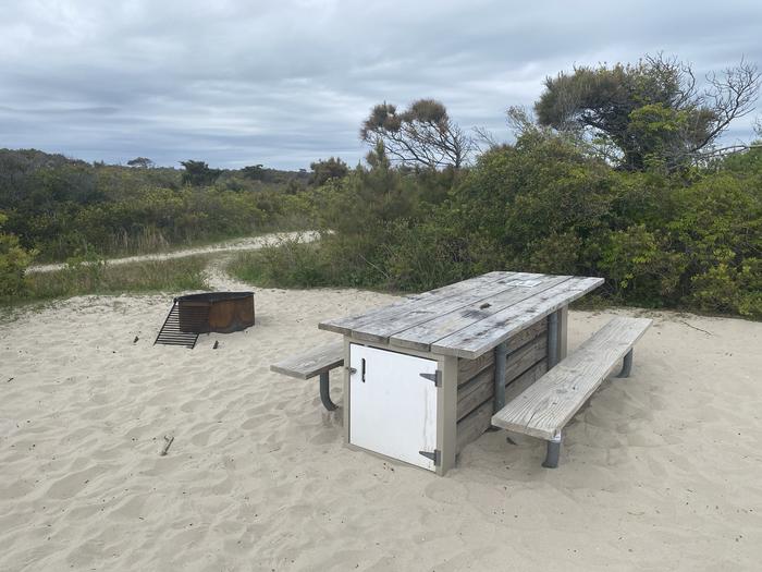 Oceanside site 44 in May.  View is a close-up of wooden picnic table and black metal fire ring on sand.  Brush around the campsite and a pathway leading away within the view..Oceanside site 44 in May.