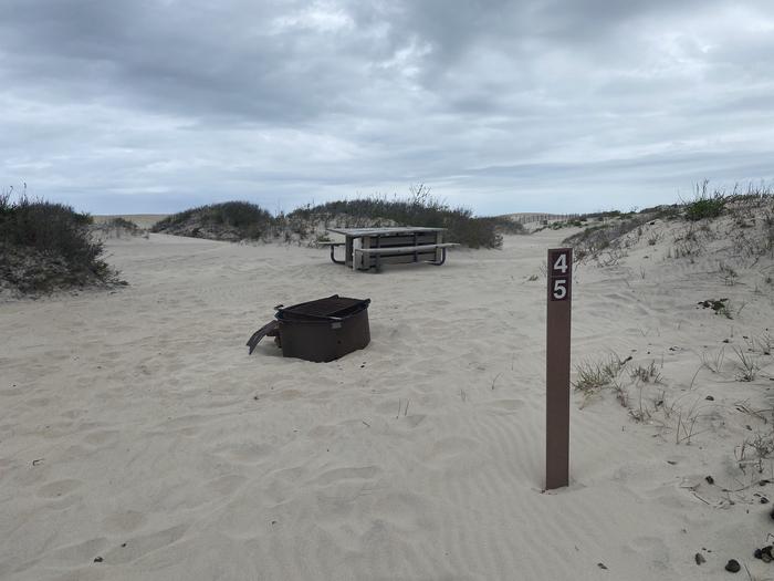 Oceanside site 45 in May.  View is of the black metal fire ring and wooden picnic table.  Sign post at the entrance to the campsite has 45 on it.Oceanside site 45 in May.