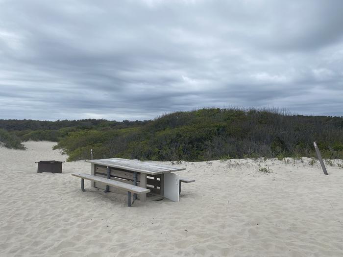 Oceanside site 47 in May 2024.  View of wooden picnic table and black metal fire ring.  Signpost at the entrance to the campsite has "47" on it.  Brush behind campsite on the horizon.Oceanside site 47 - May 2024.